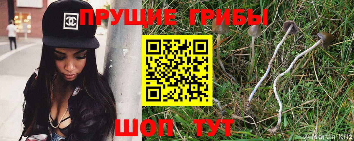 Альфа ПВП Асино